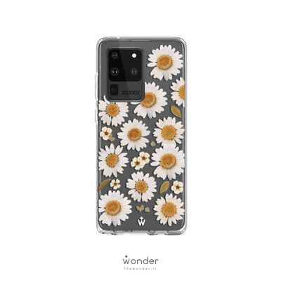Dried Daisy | Samsung